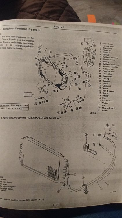 20201111_180543_copy_1377x2448.jpg