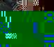 pinnhedd